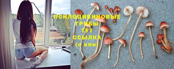 дурь Гусь-Хрустальный