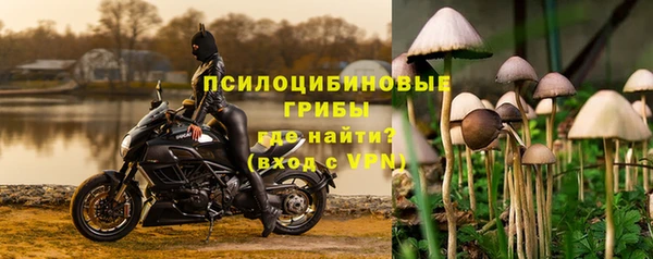 дурь Гусь-Хрустальный