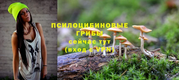 MDMA Гусев