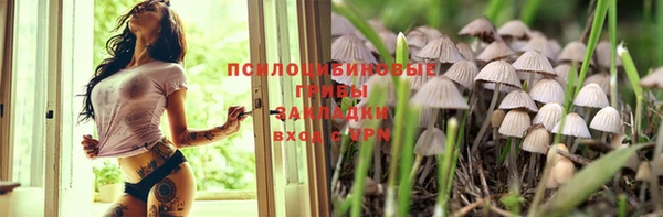 дурь Гусь-Хрустальный