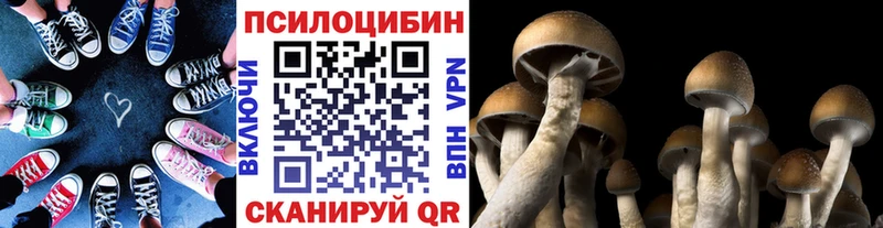 Галлюциногенные грибы ЛСД  Елизаветинская 